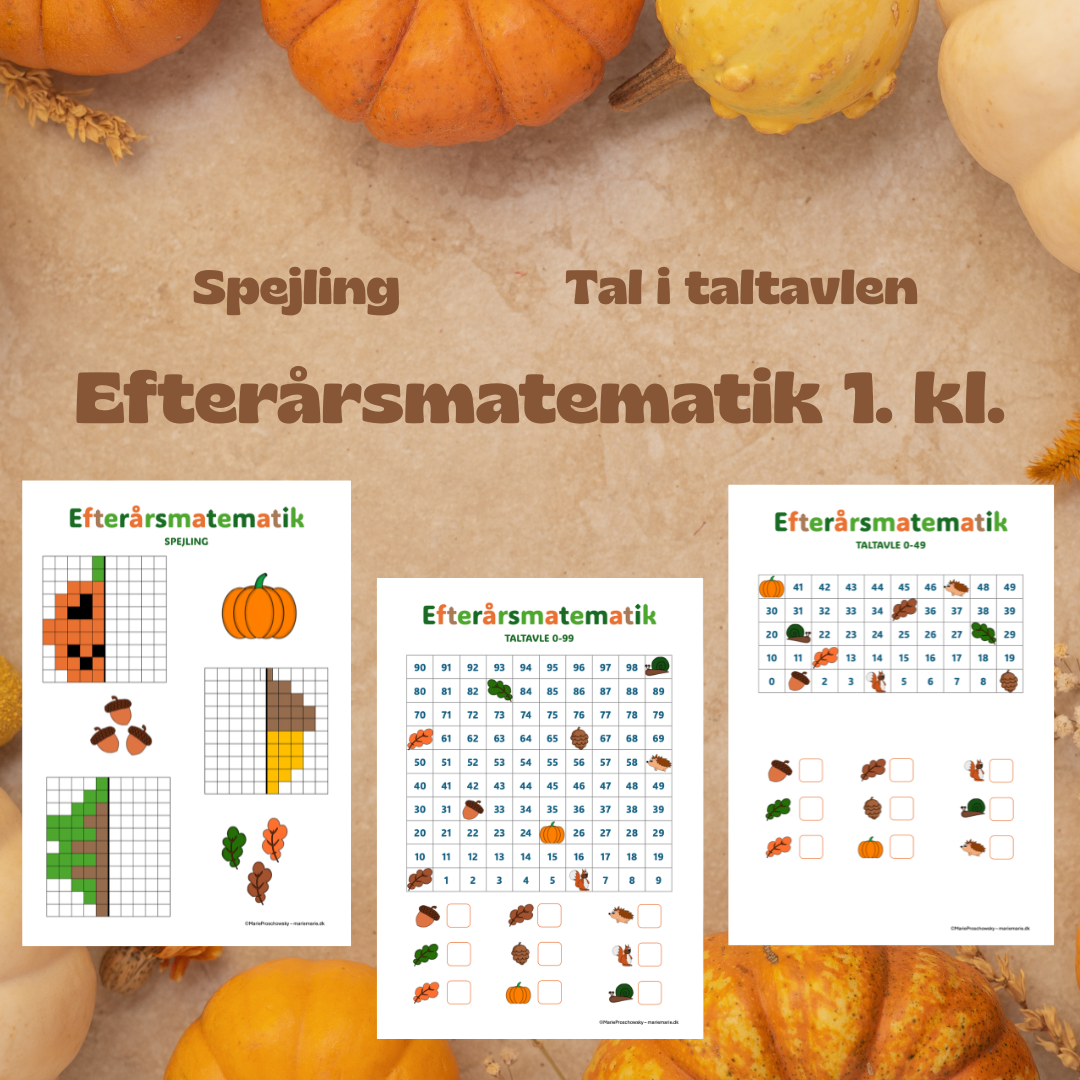 Efterårsmatematik 1. kl.